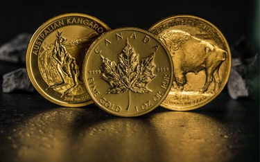 Popularne na świecie złote monety lokacyjne