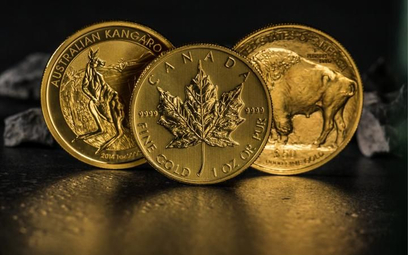 Popularne na świecie złote monety lokacyjne