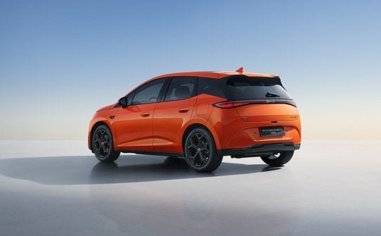 Byd Dolphin