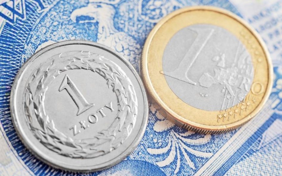 Złoty znalazł się między młotem a kowadłem