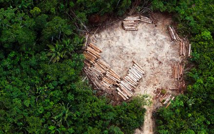 Widok miejscowych gruntów w regionie Altamira w brazylijskiej Amazonii