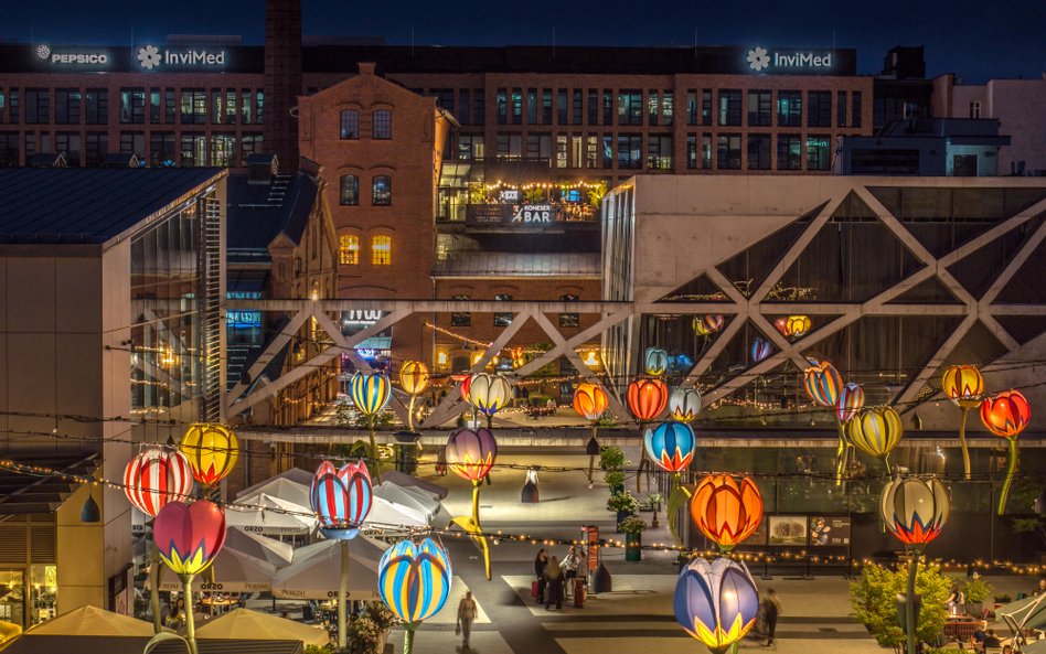 Kolorowe tulipany autorstwa Jarosława Koziary, które tworzą fotogeniczną scenerię