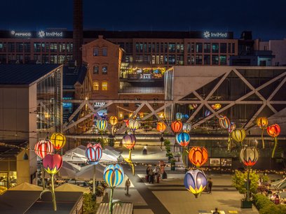 Kolorowe tulipany autorstwa Jarosława Koziary, które tworzą fotogeniczną scenerię