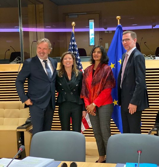 Michal Sołowow - Synthos, Rita Barnawal - US Department of Energy, Marry Korsnick , Nuclear Energy I