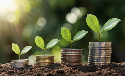 Czy pandemia pozwala przedsiębiorcom na inwestycje i rozwój?