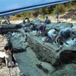 Stanowisko archeologiczne w Dmanisi (południowa Gruzja)