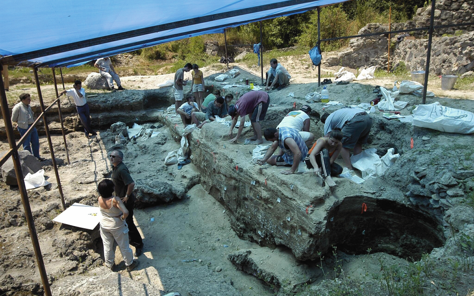 Stanowisko archeologiczne w Dmanisi (południowa Gruzja)