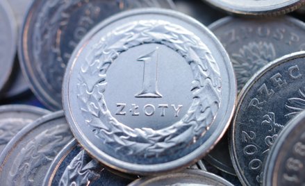 Kurs złotego imponuje siłą. Euro najtańsze od września 2020 r.