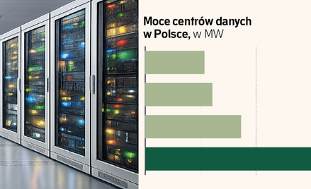 Serwery ogrzeją miasta. Polska szykuje cyfrową rewolucję