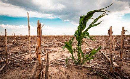 Ocieplenie klimatu zaszkodzi ratingowi 63 krajów