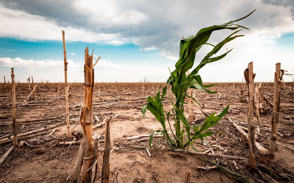 Ocieplenie klimatu zaszkodzi ratingowi 63 krajów