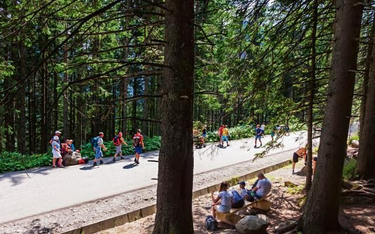 W Tatrzańskim Parku Narodowy powstaną ścieżki typu single track o szerokości do 1,5 metra.