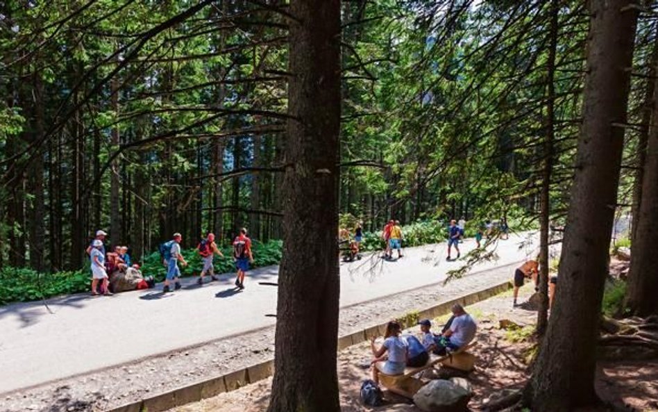 W Tatrzańskim Parku Narodowy powstaną ścieżki typu single track o szerokości do 1,5 metra.