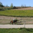 Fiskus nie zmieni wpisu w ewidencji