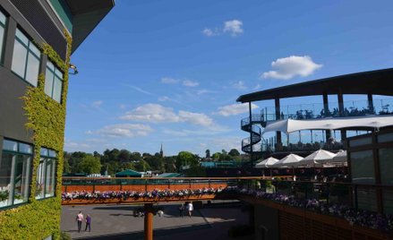 Losowanie Wimbledonu: Hurkacz jednak w drabince