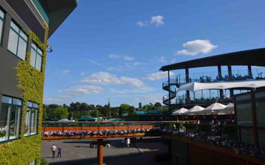 Losowanie Wimbledonu: Hurkacz jednak w drabince