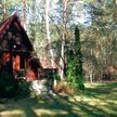 Rogóźno koło Wyszkowa – do kupienia jest 1880-metrowa działka z domkiem letniskowym, 100 m od Narwi.