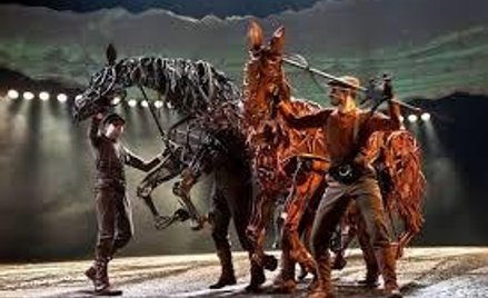 Wojna w oczach konia