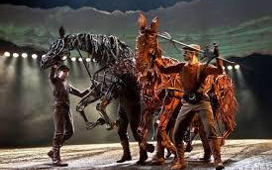 Wojna w oczach konia