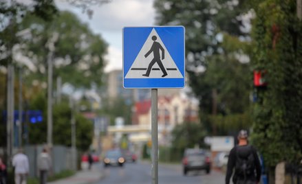 Podstawą prowadzonych działań jest szczegółowy audyt przejść dla pieszych bez sygnalizacji, przeprow