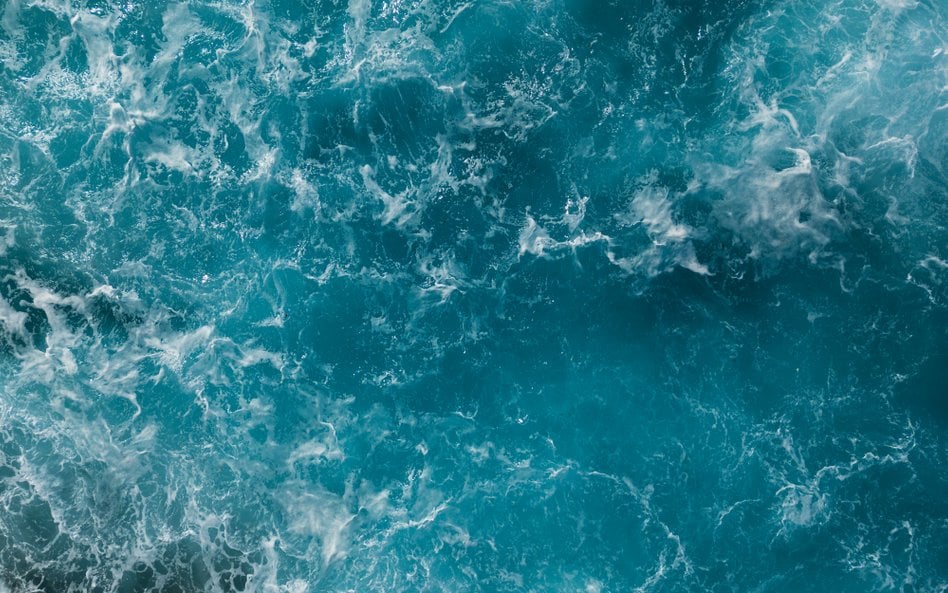 Szef Google'a odmówił Donaldowi Trumpowi zmiany nazwy Oceanu Atlantyckiego na Ocean Ameryki
