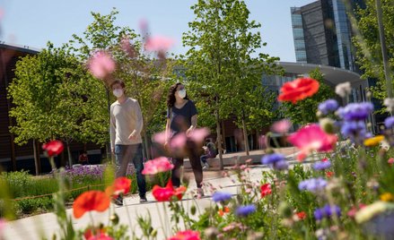 Pandemia powiększyła grupę młodych 3XNie