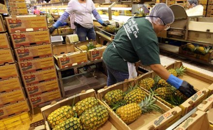 David Murdock kupuje Dole Food za 1,21 mld dolarów