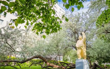 Na polskie Drzewo Roku można oddawać głosy do końca czerwca. Oliwnik Onufry liczy na głosy Warszawia