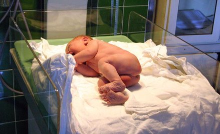 Noworodki płaczą po polsku