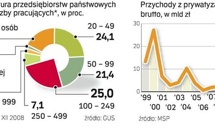 W przyszłym roku prywatyzacja ma dać ok. 36,7 mld zł przychodów. Na razie mamy tylko 15 proc. planu 