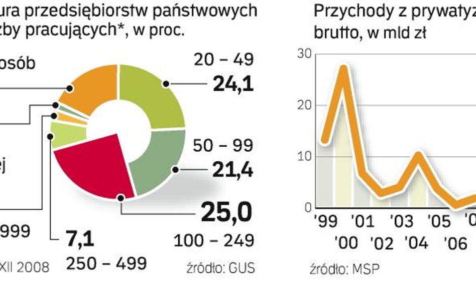 W przyszłym roku prywatyzacja ma dać ok. 36,7 mld zł przychodów. Na razie mamy tylko 15 proc. planu 