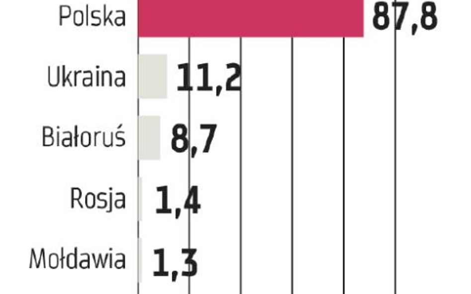 Śnieżka: Wschodnie rynki bez szans na poprawę