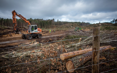 Piąta część lasów w Polsce ma zostać wyłączona spod gospodarki surowcowej. Jednak nie oznacza to jes