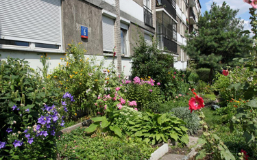Rynek wtórny: ile za mieszkanie z ogródkiem