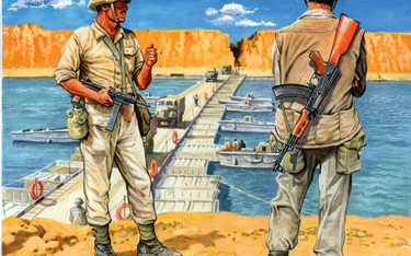 Podstawowe uzbrojenie strzeleckie egipskich żołnierzy stanowiły sowieckie karabinki AKM, ale wielu ż