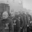 Więźniowie w obozie koncentracyjnym Sachsenhausen