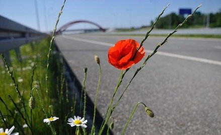 GDDKiA współpracuje z CPK. Lepsze drogi na megalotnisko