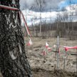 Katastrofa smoleńska: Podkomisja przedstawi wyniki badań
