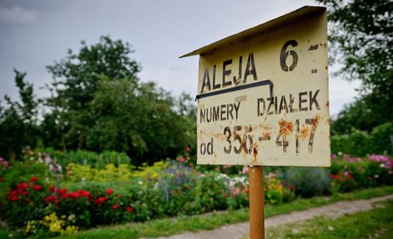 Rodzinne Ogrody Działkowe Podzamcze