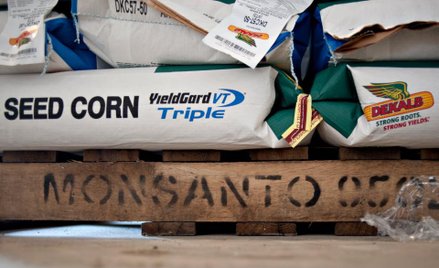 Monsanto odwołuje się od wyroku w sprawie Roundupu