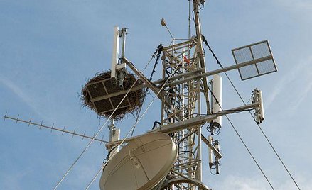 Mediatel planuje zamknąć akwizycję w USA w I połowie roku