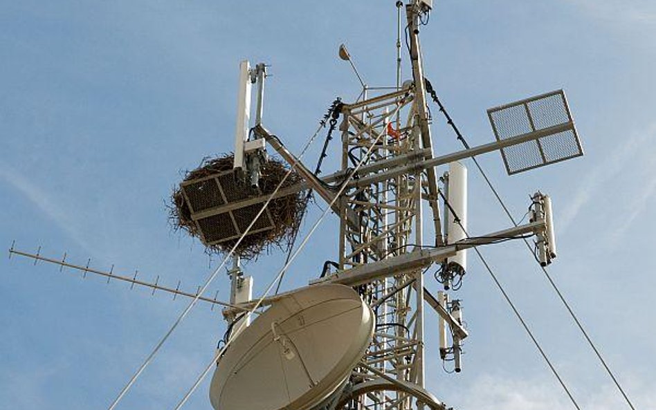 Mediatel planuje zamknąć akwizycję w USA w I połowie roku