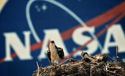 Europa zbuduje Ameryce statek?