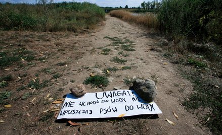 Piotr Nieznański, WWF: Skażenie z Odry prawdopodobnie trafiło już do Bałtyku