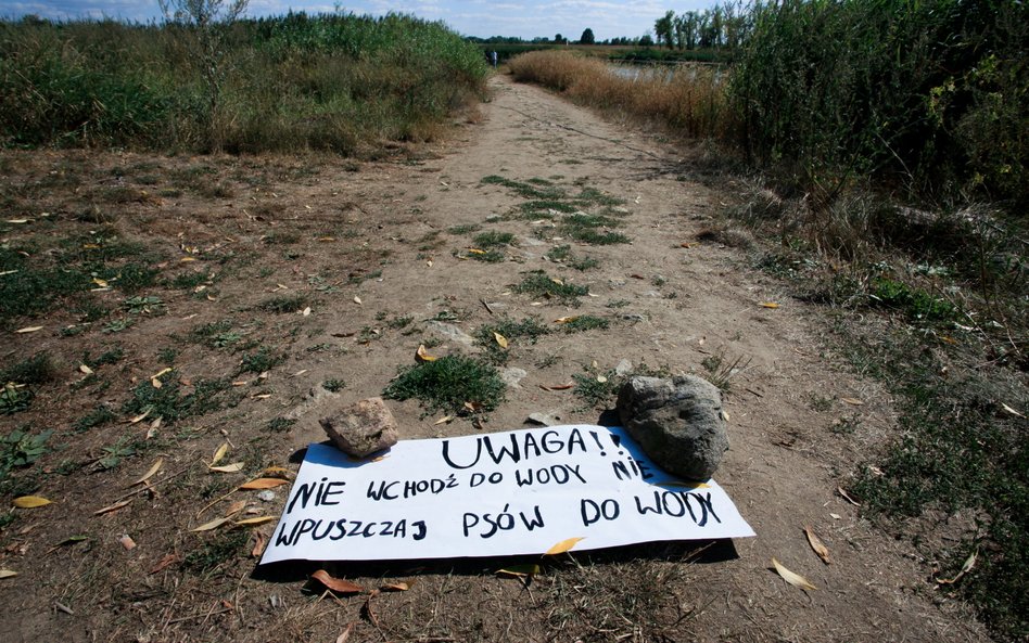 Piotr Nieznański, WWF: Skażenie z Odry prawdopodobnie trafiło już do Bałtyku