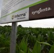 Syngenta: Największe chińskie przejęcie w historii