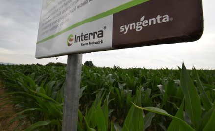 Syngenta: Największe chińskie przejęcie w historii