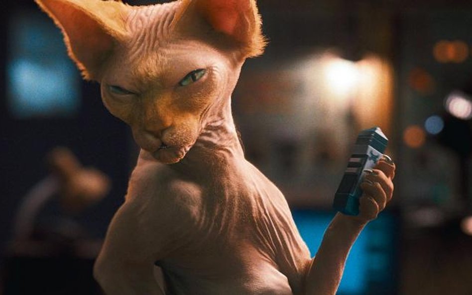 Kitty Galore chce się zemścić na ludziach i psach za utratę futerka