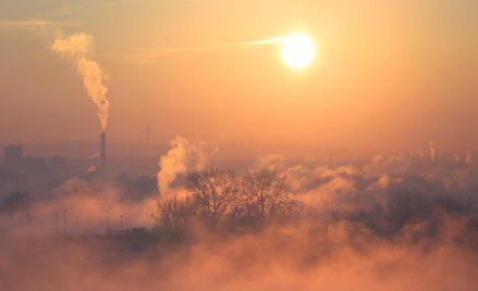 Odszkodowanie za smog