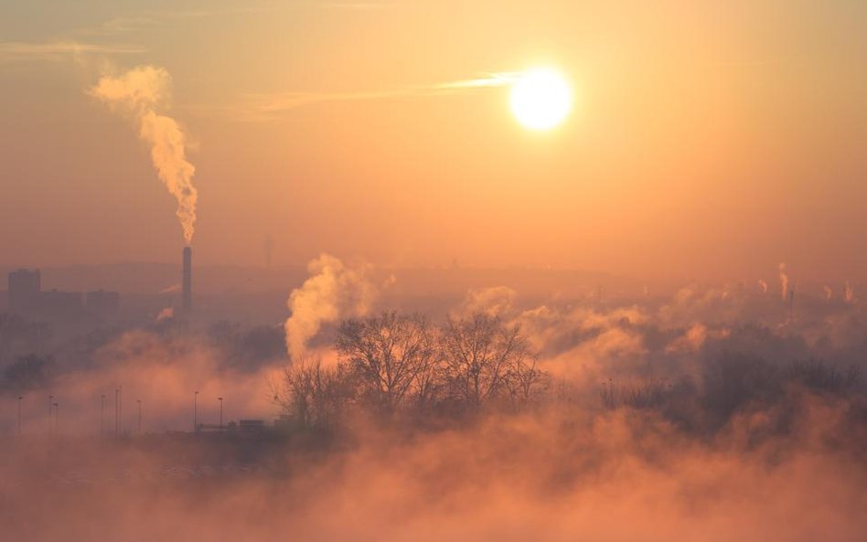 Odszkodowanie za smog